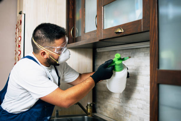 Best Pest Control for Businesses  in USA